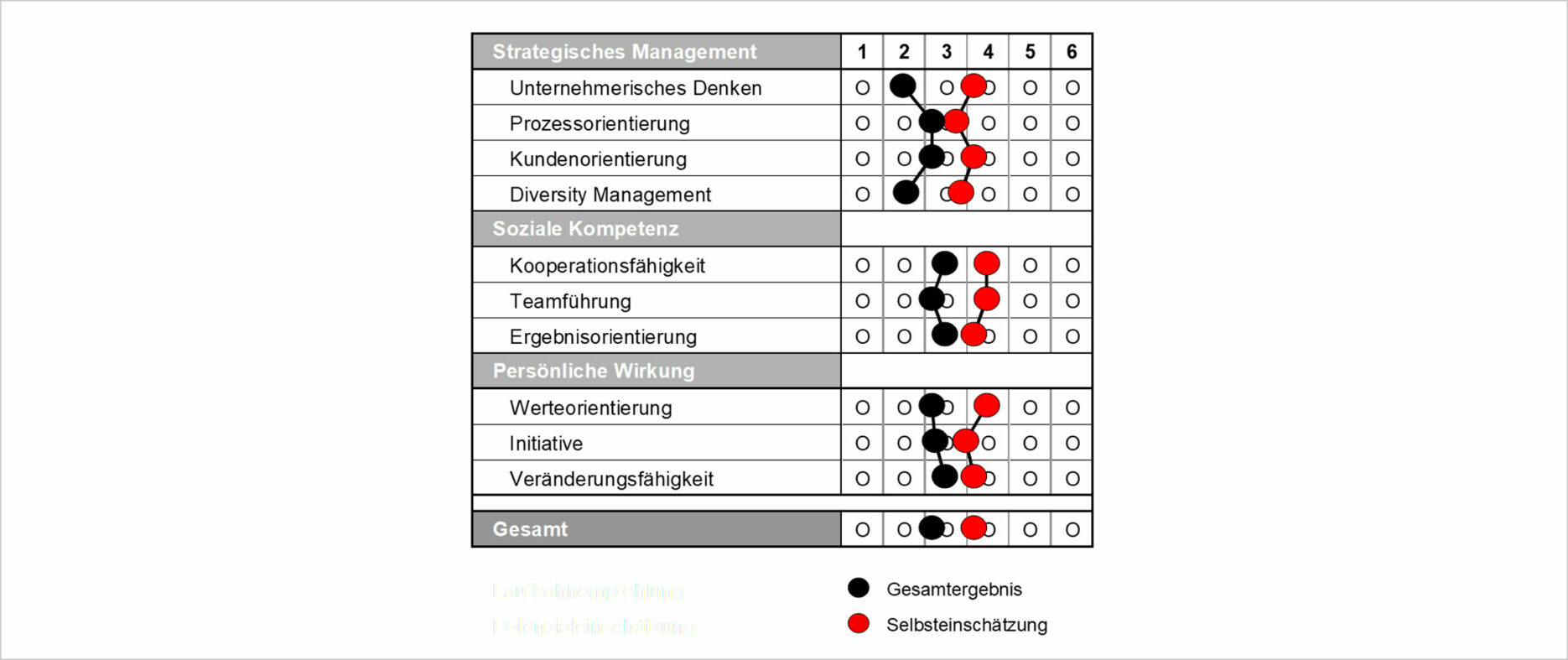 Ist Selbsteinschätzung von Kompetenzen eine Frage des Feedbacks?