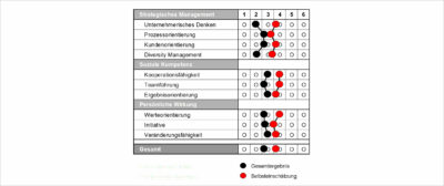 Ist Selbsteinschätzung von Kompetenzen eine Frage des Feedbacks?